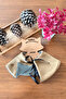 Adult Cat and Small Breed Dog Poncho