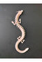 3D Dragon Modeli 32Cm - 4