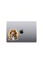 King Bulldog Sticker Car, Motorcycle, Helmet, Laptop, Glass Sticker 14X12 cm - 4