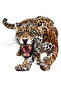 Wild Leopard Sticker Car, Motorcycle, Helmet, Laptop, Glass Sticker 14X12 cm