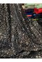 Velvet Black Sequined Silver