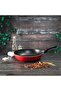 RF2958 Non-stick 28 cm fry pan with Induction Base & Cool Touch Bakelite Handle - 5