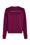 Tjw reg linear crew ext - 4