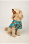 Hotdog Cat Dog Shirt – Eye-Catching Design Cotton Fabric - 6