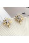 Polar Star Earrings Full Zircon Stone Earrings Double Color - 3