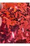 40 Gr Baguette Bag Oya Writing Stamps Sequins Red - 4