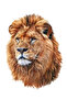 Lion Alpha Leader Sticker Car, Motorcycle, Helmet, Laptop, Glass Sticker 14X10 cm