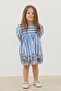 Ruffle Detailed Dress Blue Striped - 2