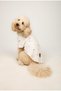 Dog and Cat Outfit Shirt with Paw Prints for Pets, Linen & 100% Cotton Dog Outfit