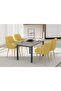 Dec 72 BLK Wooden Dining Table U-Leg, 6-Seater for Kitchen-140cm, Anthracite Metal Rocks - 3