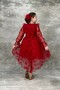 Long Sleeve Red Children's Evening Dress with Butterfly Print Train Waiter Boy 10/13 Years Old Aby825 - 2
