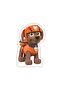 Paw Patrol Zuma Standing Board 34x22 Cm
