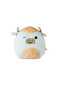 Squishie Plush | دمية طرية