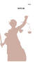 Lawyer Case Tracking Book - 7