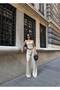 Women's Satin Elastic Draped Palazzo Trousers