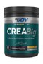 Creatine 420Gr 60 Servings 100% Micronized Monohydrate Creabig