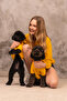 BASIC SWEATSHIRT KÖPEK KIYAFETİ - 3