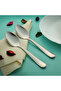 RF8665 Stainless Steel Dinner Spoon - Set 2 Pcs - 5
