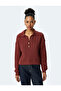 Long Sleeve Buttoned Polo Neck Hair Knit Sweater - 3