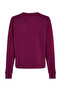Tjw reg linear crew ext - 5