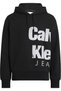 BOLD INSTITUTIONAL HOODIE - 2