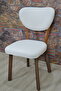 Kilifteks Apple Chair Cover Lakos Fabric - 6