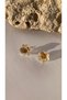 Transparent Earrings with Gold Glitter in the Shape of Cat and Dog Paws, Handmade with Gold Accessories