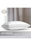 Down- Alternative Cotton Pillow, 1000grams, Double-piping Cord - 4