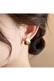 Vintage Earrings with Khaki Brown and Beige Embellished - 2