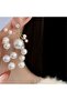 Transparent Fishing Line Pearl Fringed Earrings