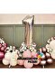 Balloon Set Chrome Rose Gold-Chrome Pink-Macaron Pink-White 100 Piece Balloon Chain Set - 5