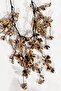 Women's Rope Necklace with Multiple Gold Flowers - 6