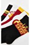 Lcw Kids 1905 Fan Printed (High Cotton) Patterned Boys' Socks 5-Piece - 3