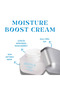 Moisturizing and Renewing Face Cream with Hyaluronic Acid & Aloe Vera - Moisturizing Boost Cream - 5