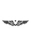 Winged Moon Star Wall Decor Quality Quality Sticker 40 X 8 cm