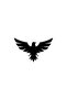 Eagle Sticker Wall Decor Sticker 40 x 60 cm