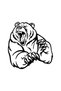 Angry Bear Sticker A+ Quality 20 X 20 cm Durable