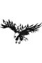 Eagle Wall Decor Quality Quality Sticker 40 X 24 cm