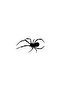 Spider Wall Decor Quality Quality Sticker 40 X 20 cm