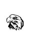 Eagle Sticker A+ Quality 20 X 20 cm Durable