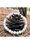 Love Bracelet Natural Stone Design Sealed 6mm - 3