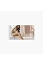 Bre700/01, Series 8000 Wet & Dry Epilator, White BUY BRE700 EPILATOR AND GET A FREE CAR HOLDER - 4