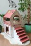 Cat Accessories - 2