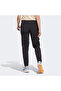 Terrex Utilitas Hiking Women's Black Outdoor Pants - 3