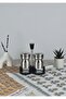 Stainless Steel Protected Salt Shaker Set - 2-Piece Salt Shaker Set with Stand - 125 ml