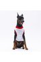 Grey Summer Time Large Dog T-Shirt - Dog Outfit (15 KG-45 KG) - 2