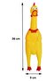 Singing Chicken Dog Toy Large 36 Cm - 2