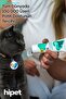 Multivitamin Kedi Maltı - 4