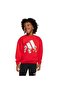 Children's Sweatshirt Lk Dy mm Swt Jf3640