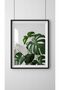 إطار A4 مكون من 10 قطع، إطار مستند، ثنائي، شهادة، إطار صورة، إطار صورة، 21 × 30 - 5